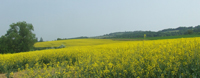 Balade en famille autour de Ozenay dans le 71 - Saône-et-Loire