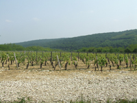 Balade en famille autour de Au pays des cadoles dans le 71 - Saône-et-Loire