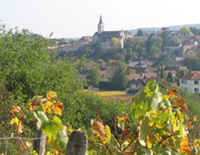 Balade en famille autour de Rully dans le 71 - Saône-et-Loire