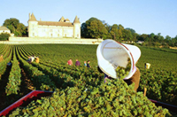 Balade en famille autour de Rully dans le 71 - Saône-et-Loire