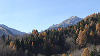 Balade en famille autour de Saint-Alban-des-Villards dans le 73 - Savoie