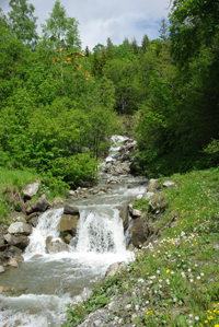 Balade en famille autour de Saint-Francois-Longchamp<br/>
Les Paquiers - Les Clochettes dans le 73 - Savoie