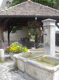 Balade en famille autour de Thonon-les-Bains, la mer à la montagne ! dans le 74 - Haute-Savoie