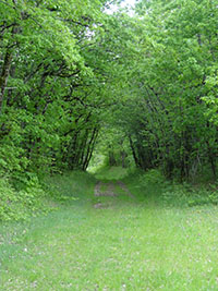 Balade en famille autour de Promenade ludique et familiale à La Salvetat-Belmontet  dans le 82 - Tarn-et-Garonne