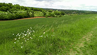 Photo : La Salvetat-Belmontet  : Promenade ludique et familiale à La Salvetat-Belmontet 