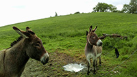 Balade en famille autour de Promenade ludique et familiale à La Salvetat-Belmontet  dans le 82 - Tarn-et-Garonne