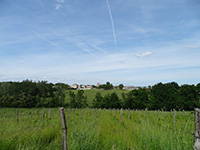 Photo : Domaine de Revel - Vaïssac : Balade ludique à Vaïssac en famille