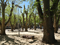 Balade en famille autour de Balade ludique sur les bords du Verdon dans le 83 - Var