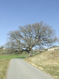 Balade en famille autour de Murs dans le 84 - Vaucluse