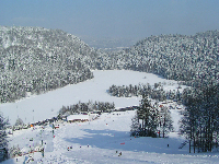 Balade en famille autour de La Bresse - La Forêt blanche dans le 88 - Vosges