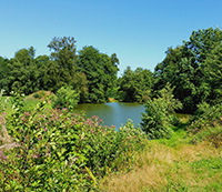 Balade en famille autour de Balade ludique familiale à Corcieux dans le 88 - Vosges