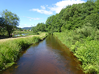 Balade en famille autour de La Forge dans le 88 - Vosges