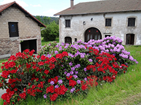 Idée de balade, promenade ou randonnée en famille avec des enfants : Mortagne