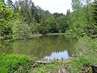 Balade en famille autour de Mortagne dans le 88 - Vosges