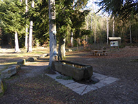 Balade en famille autour de Balade familiale ludique dans le site de la Criquette dans le 88 - Vosges