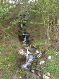 Balade en famille autour de Rochesson dans le 88 - Vosges