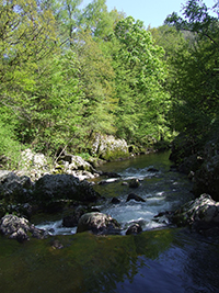 Balade en famille autour de Saulxures-sur-Moselotte dans le 88 - Vosges