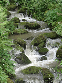 Balade en famille autour de Le valtin dans le 88 - Vosges