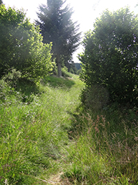 Balade en famille autour de Le valtin dans le 88 - Vosges