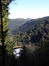 Balade en famille autour de Balade ludique familiale au lac de la Maix  dans le 88 - Vosges