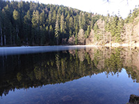 Balade en famille autour de Balade ludique familiale au lac de la Maix  dans le 88 - Vosges