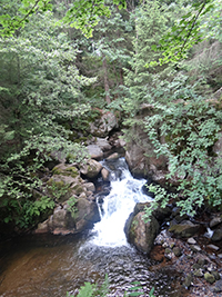 Balade en famille autour de Xonrupt dans le 88 - Vosges