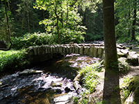 Balade en famille autour de Xonrupt dans le 88 - Vosges