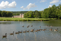 Idée de balade, promenade ou randonnée en famille avec des enfants : Domaine de Chamarande