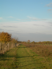 Balade en famille autour de La Ferté Alais dans le 91 - Essonne