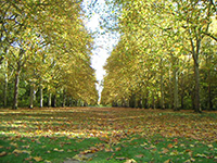 Balade en famille autour de Promenade ludique dans le Parc de Villeroy à Mennecy dans le 91 - Essonne